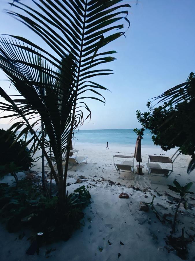 Crystal Beach Nungwi Exteriör bild
